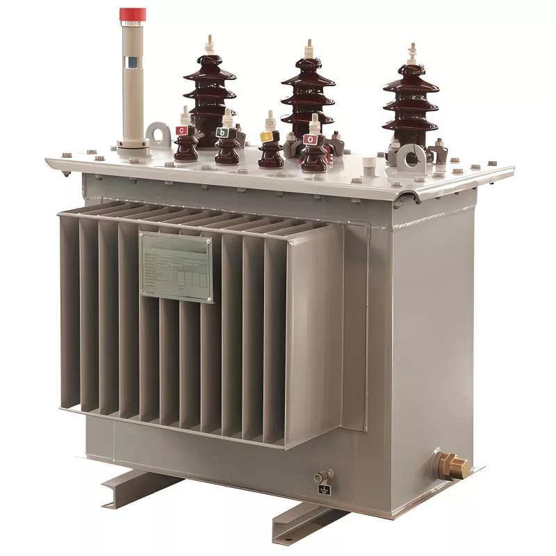Trasfhoirmeoir Tumtha Ola 100KVA 11KV